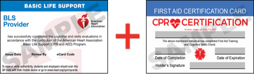 Sample American Heart Association AHA BLS CPR Card Certification and First Aid Certification Card from CPR Certification Irving