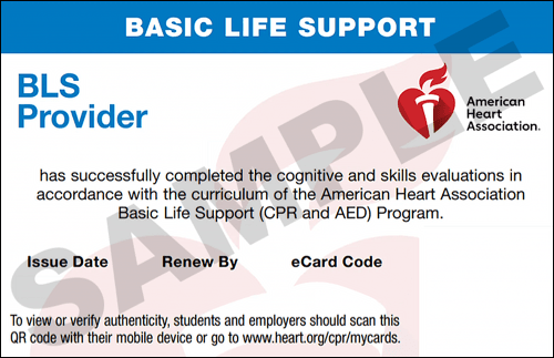 Sample American Heart Association AHA BLS CPR Card Certification from CPR Certification Irving